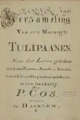 Covaer of P. Cos Tulip Book